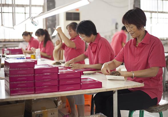 Luxy factory workers image