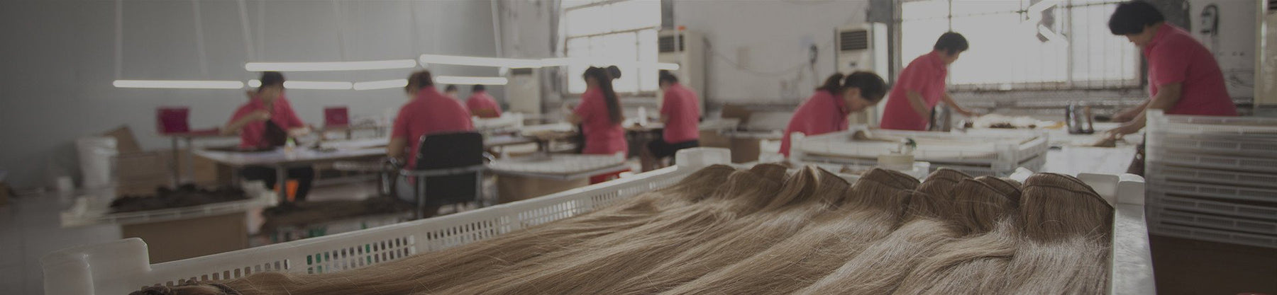 Luxy Factory banner image
