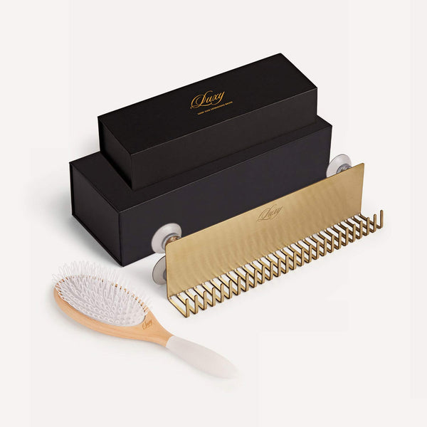 Deluxe Styler and Loop Brush Bundle