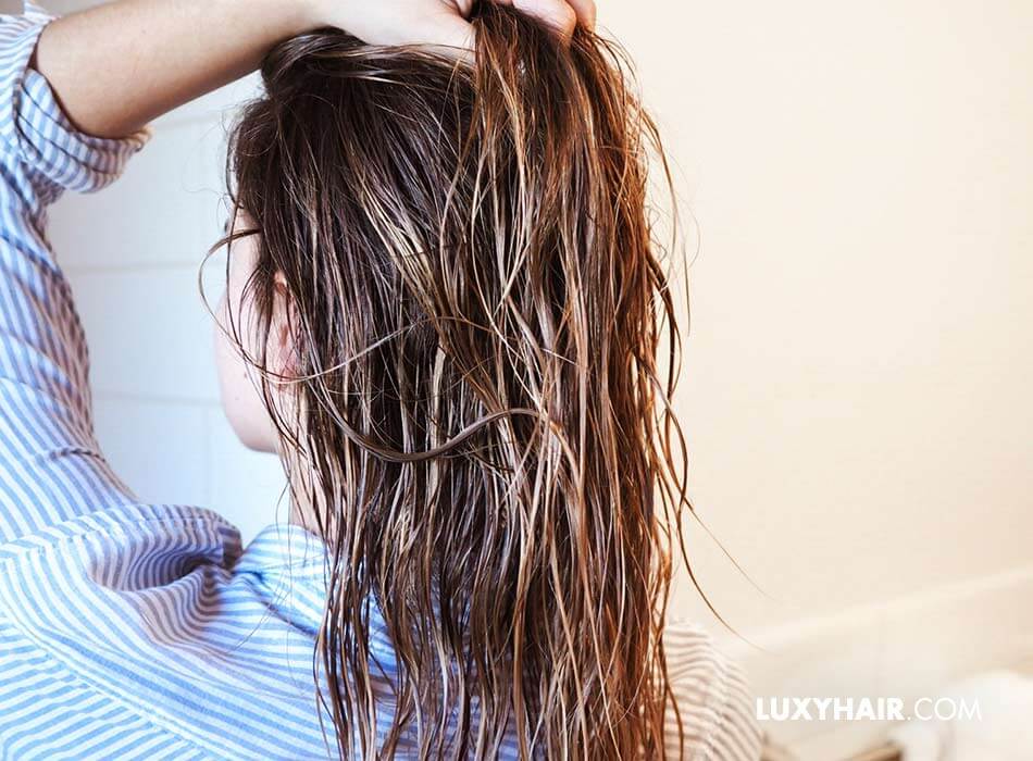 How To Tame Frizzy Hair Luxy Hair Guide (Updated April 2022)