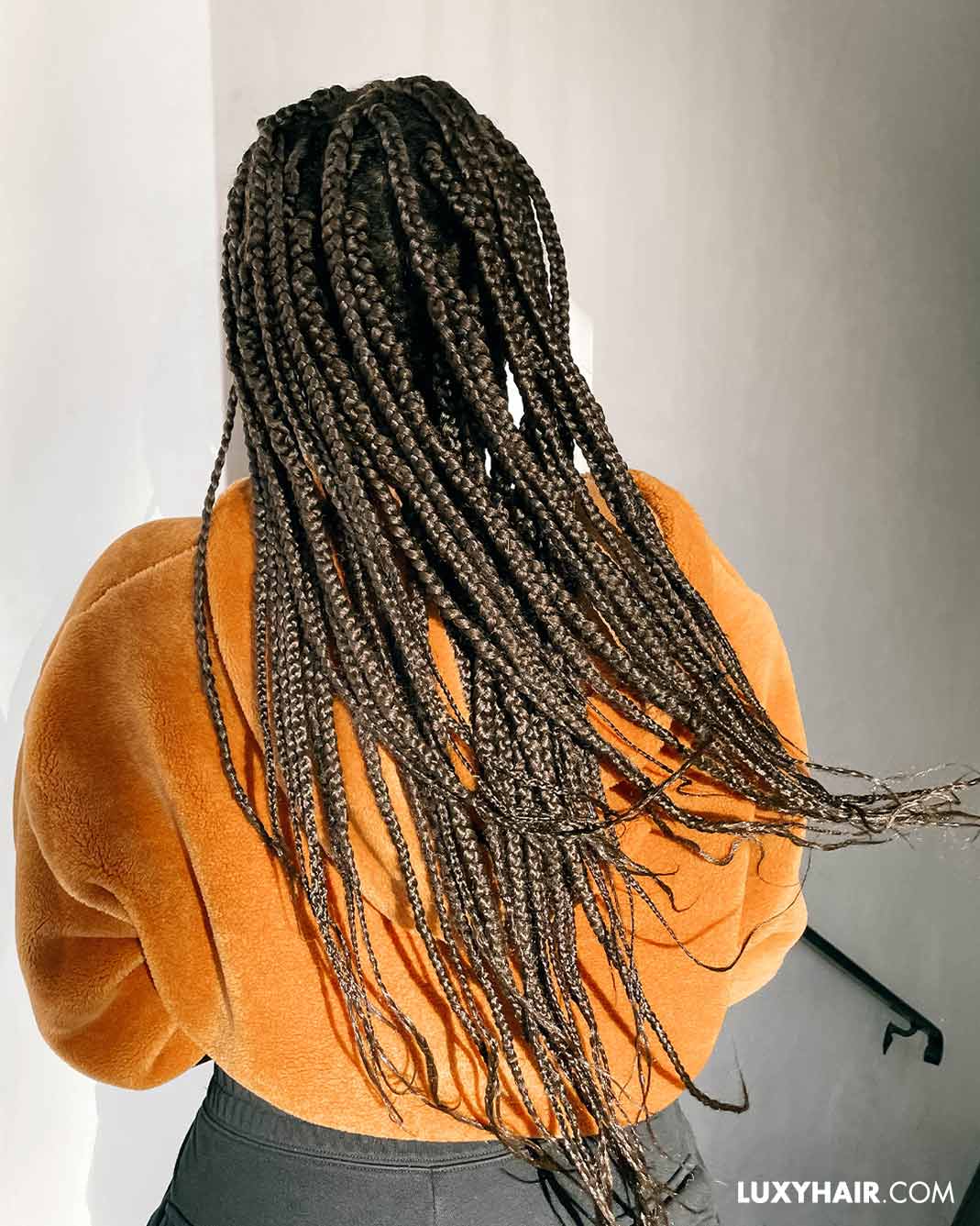 Is Coconut Oil Bad For Your Hair? Find Out Here