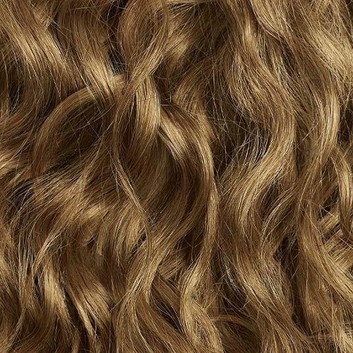 Bronde Curly Ponytail