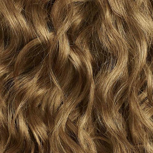 Bronde Curly Ponytail