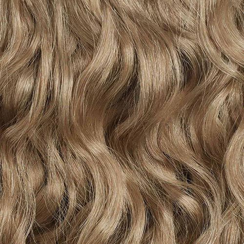 Natural Blonde Curly Ponytail